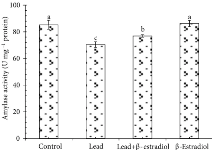 Figure 1. Effects of β-estradiol on root and coleoptile lengths  of 5-day-old wheat seedlings exposed to lead toxicity