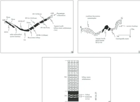 Figure 4. (a) Geological cross-section from southeast of İlyaslı (Coord: 93758/73803),(b) Geological cross-section 