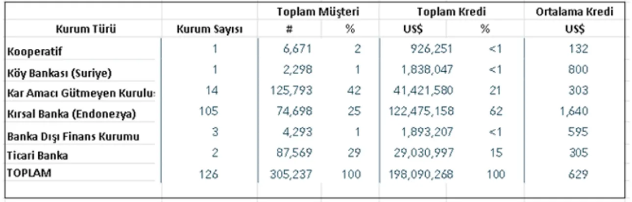 Tablo 2: Kurum Türüne Göre İslami Mikrofianns (CGAP, 2008)