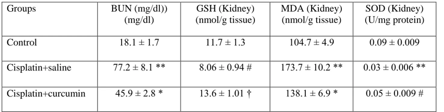 Table 1. The evaluation of serum BUN and kidney tissue GSH, MDA and SOD values  