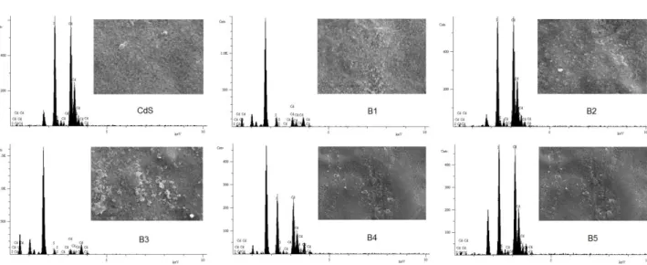 Figure 3. SEM image and EDS spectrum of the films. 
