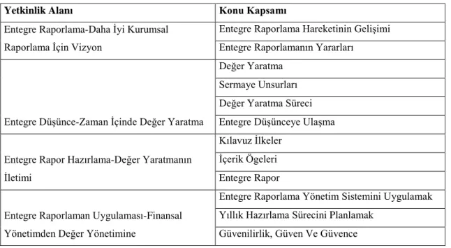 Tablo 2. Entegre Raporlama Yetkinlik Matrisi Temel Yetkinlik Alanları ve Konu Kapsamı 