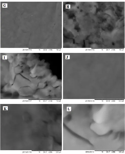Figure 4. SEM images of GR electrodes: (A,D,G,J) bare, (B,E,H,K) modified with poly-PQ applying 1 
