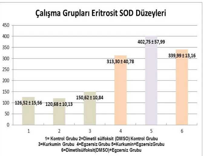 Grafik 4.2. Çalışma Grupları Eritrosit SOD Düzeyleri 