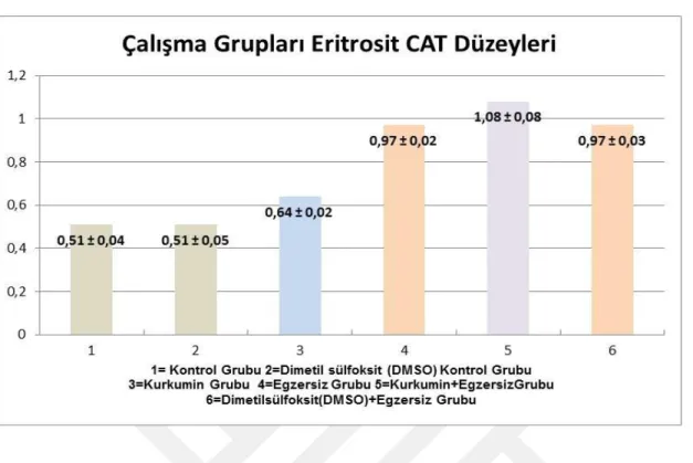 Grafik 4.3. Çalışma Grupları Eritrosit CAT Düzeyleri