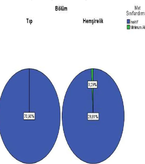 Grafik 4: Araştırmaya Katılan Öğrencilerin Bölüm Değişkenine Göre Fiziksel Aktivite Düzeyleri  