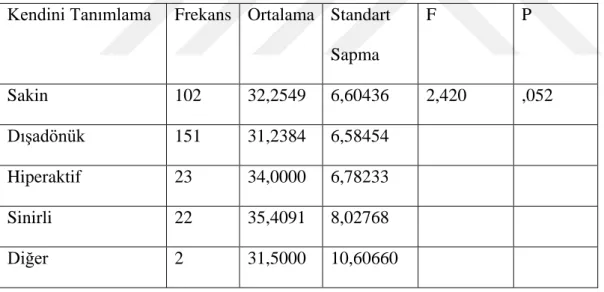 Tablo 13.Kendini Tanımlamaya Göre 