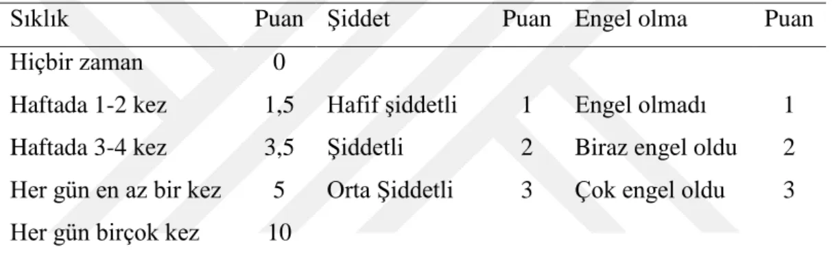 Tablo 3.4 Cornell kas iskelet sistemi rahatsızlıkları anketi puan hesaplama (45)  