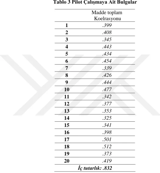 Tablo 3 Pilot ÇalıĢmaya Ait Bulgular 