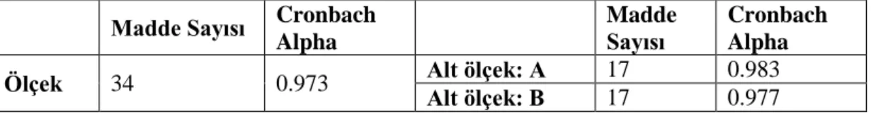 Tablo 4.5.Güvenirlik analizi: Cronbach Alpha değerleri 