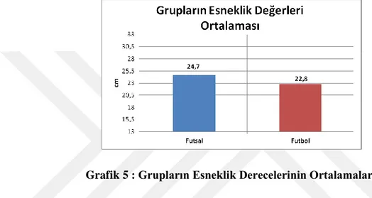 Grafik 5 : Grupların Esneklik Derecelerinin Ortalamaları 