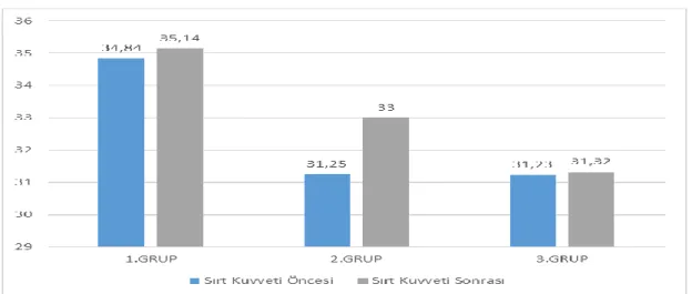 Grafik 2. Sırt Kuvveti Dağılımı 