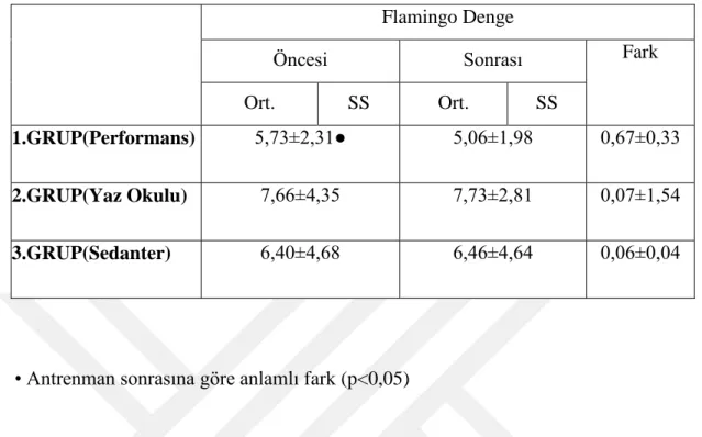 Tablo 8. Flamingo Denge Testi Sonuçları 
