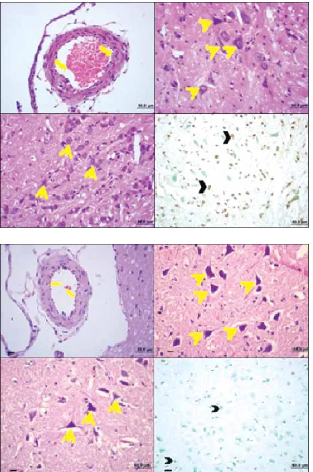 Figure 7: In the 
