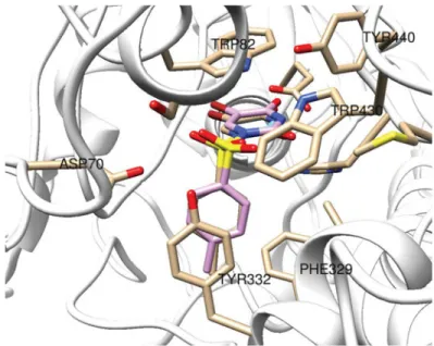 Figure 3. Superposition of top-docking poses of compound 4 at BuChE binding site, generated by Glide/SP (wheat), Glide/XP (blue), and GoldScore (pink).
