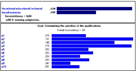 Figure 3. Weights of the criteria and the qualifications 