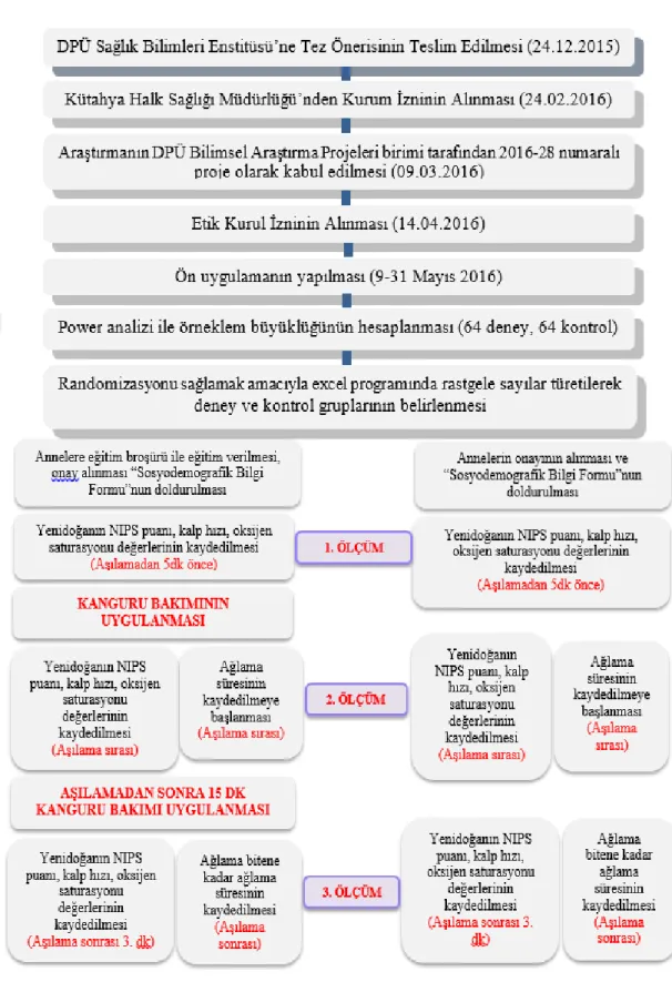 Şekil 3. 1. Tezin Akış Şeması