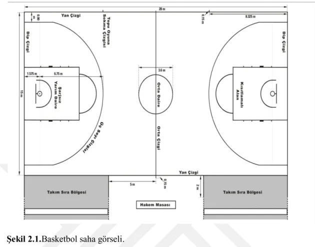 Şekil 2.1.Basketbol saha görseli. 