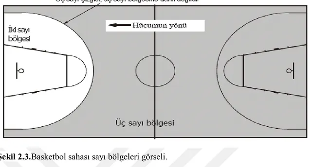 Şekil 2.3.Basketbol sahası sayı bölgeleri görseli. 