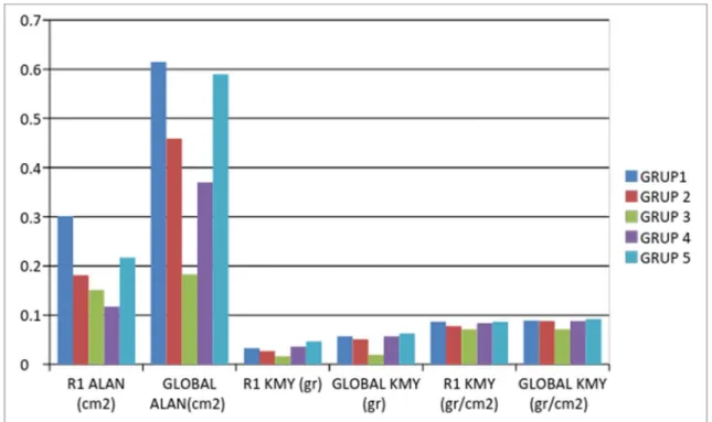 Şekil  4.1.  Kemik  Mineral  Yoğunluğu  Ve  Morfometrik  Ölçümlerin  Gruplar  Arası  Dağılımı