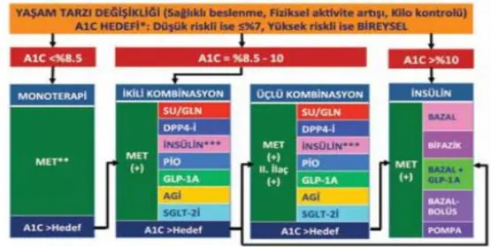 Şekil 1. TEMD Tip 2 Diabette Tedavi Algoritması (15) 