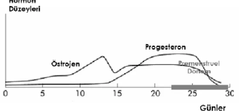 Şekil 2.1. Premenstrual dönemin adet döngüsü ve hormon düzeyleriyle ilişkisi.  Türkçapar ve Türkçapar (192)’dan alınmıştır 