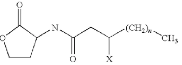 Şekil  1.2.  Chromobacterium  violaceum  tarafından  üretilen  N-asil-DL-homoserin  laktonun   (AHL) kimyasal yapısı (Duran vd., 2016)