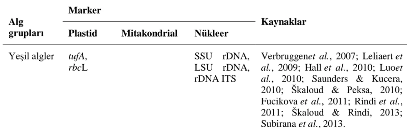 Çizelge  1.4.    DNA  bazlı  tür  sınıflandırması  ve  /  veya  temel  algal  gruplarından  yeşil  alglerde  barkodlama için kullanılan ana markırlar (Leliaert vd, 2014)