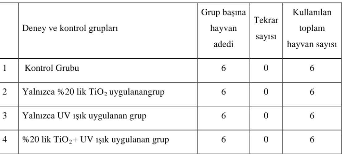 Çizelge 4.1.  Deney hayvan grupları. 