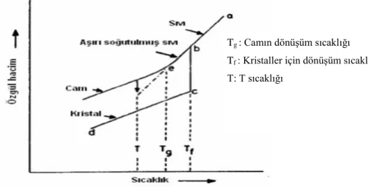 Şekil 3.1. Sıcaklık-özgül hacim ilişkisi (Rawson, 1991). 