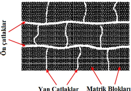 Şekil 3.9. Kömürün mikro çatlak sistemi gösterimi (Gu ve Chalaturnyk, 2010). 
