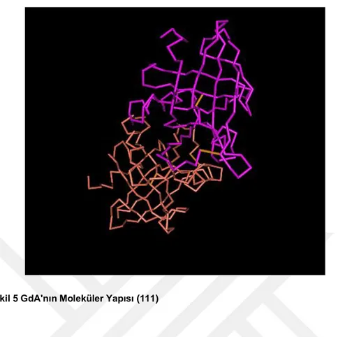Şekil 5 GdA'nın Moleküler Yapısı (111) 