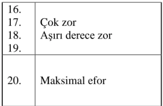 Tablo  (Devam):  Algılanan Yorgunluk Düzeyi Ölçeği 