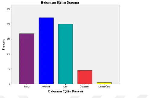 Grafik 4.5: Katılımcıların baba eğitim durumu değişkenine ilişkin bilgilerin dağılımı  4.1.6