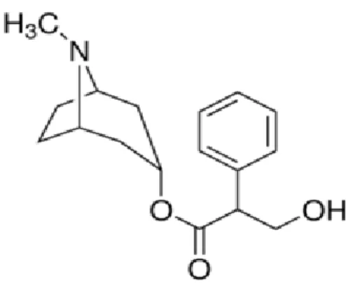 Şekil 2.4. Atropinin Kimyasal Yapısı (https://www.sigmaaldrich.com). 