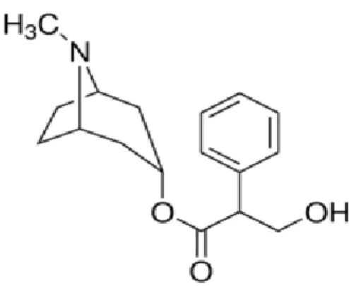 Şekil 2.4. Atropinin Kimyasal Yapısı (https://www.sigmaaldrich.com). 