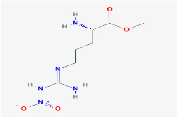Şekil 2.9. L- NAME’ nin Kimyasal Yapısı (https://pubchem.ncbi.nlm.nih.gov ). 