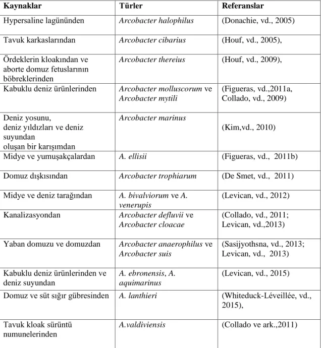 Çizelge  1.3.  Arcobacter  türleri  ve  izole  edildiği  kaynaklar  ile  referansları  (Kayman,  2012;  Figueras ve Gonzalez, 2013; Levican, vd., 2013; Sasi Jyothsna, vd., 2013)