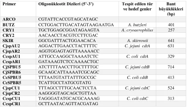 Çizelge  3.1.  Çalışmada  kullanılan  primerlerin  oligonükleotid  dizileri  hedef  bölgeleri  ve  baz  büyüklükleri (Houf, 2000; Asakura, 2008)