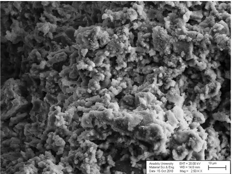 Şekil 5.19. Hazırlanan 1 nolu örneğin 1250 °C sıcaklıkta sinterlenen mikro yapısı (Çubuk 10µ  uzunluğundadır)