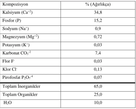 Çizelge 3.3. Kemiğe ait kimyasal kompozisyon (Suchanek ve Yoshimura, 1998).  Kompozisyon  % (Ağırlıkça)  Kalsiyum (Ca +2 )  34,8  Fosfor (P)  15,2  Sodyum (Na + )  0,9  Magnezyum (Mg +2 )  0,72  Potasyum (K + )  0,03  Karbonat CO 3 -2  7,4  Flor F -  0,03 