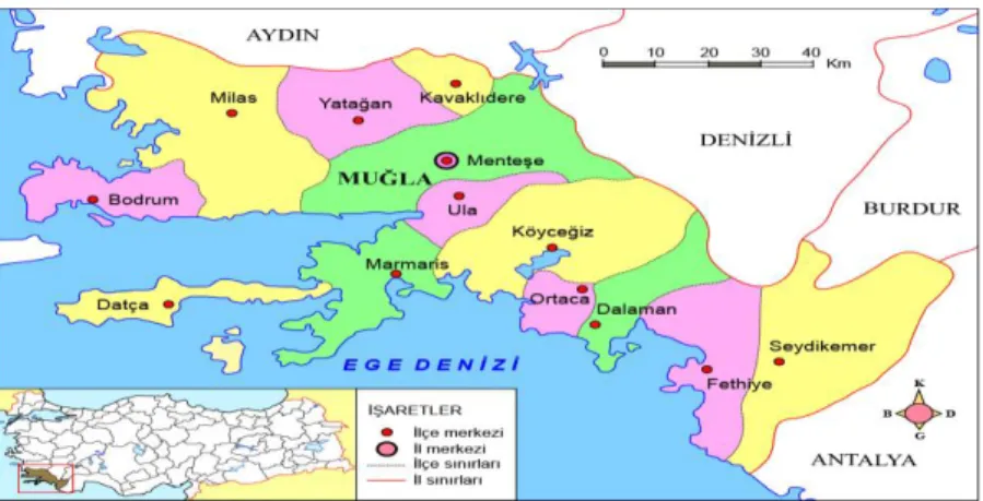 Şekil 2.2: Muğla İli İdari Haritası 