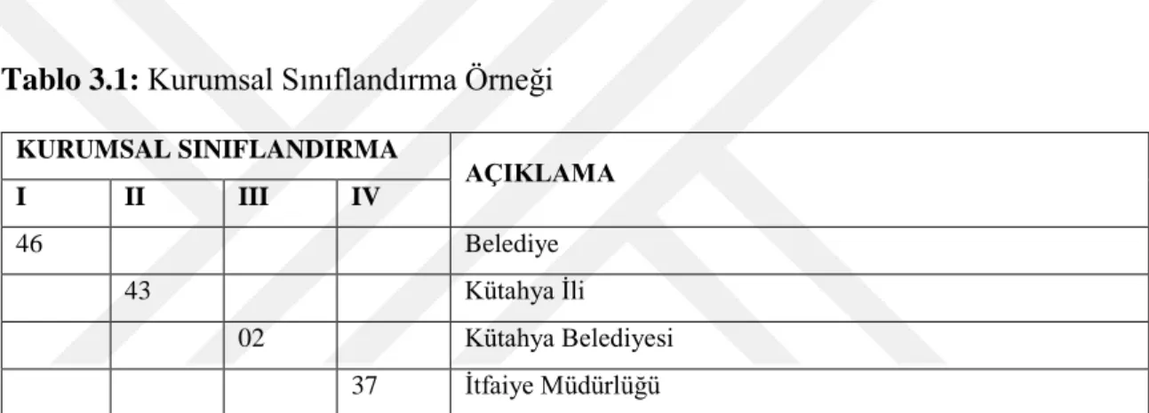 Tablo 3.1: Kurumsal Sınıflandırma Örneği 