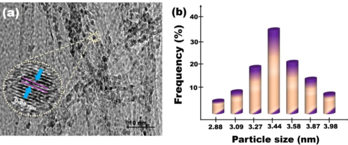 Figure 1. (a) TEM image and HR-TEM image and (b) particle size histogram of Pt@PPy-MWCNT NPs.