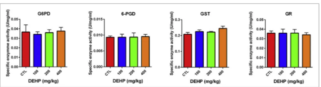 Fig. 1. Activities of G6PD, 6PGD, GST, GR enzymes in brain of prepubertal male rats in control and treatment groups