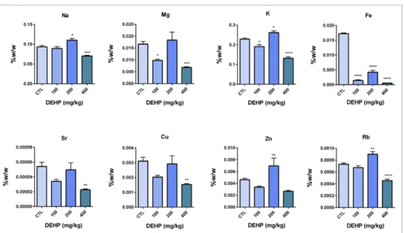 Fig. 4. Trace element and mineral levels in prepubertal male rat testis samples. All groups are compared to control group and each other