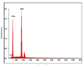 Fig. 10 BET isotherm plot of N 2 adsorption for the synthesized SM