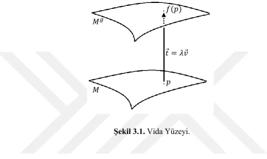 Şekil 3.1. Vida Yüzeyi. 