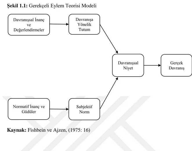 Şekil 1.1: Gerekçeli Eylem Teorisi Modeli