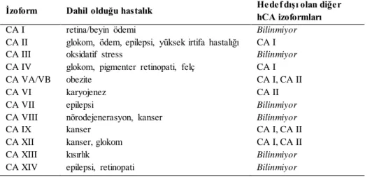 Çizelge 2.3. Çeşitli  hastalıklarda  ilaç  hedefi/hedef  dışı  olan hCA izoformları(Alterio  vd., 2012)